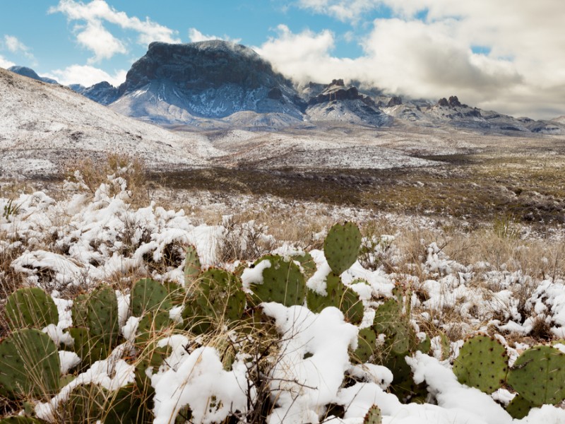 Big Bend National Park