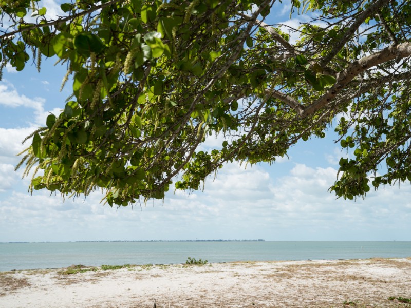 Fort De Soto Beach