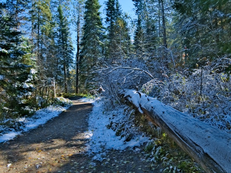 Itasca State Park