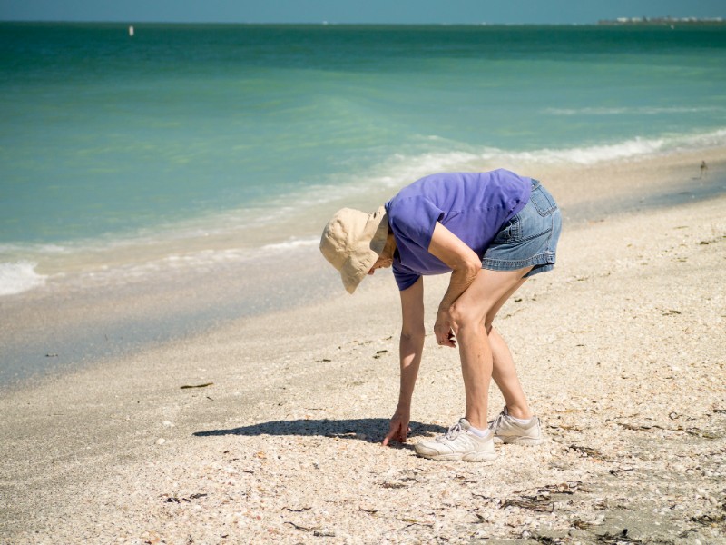 Best Beaches in Florida for Beach Combing & Shelling