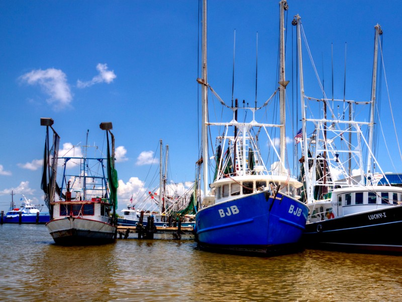 Venice, Louisiana