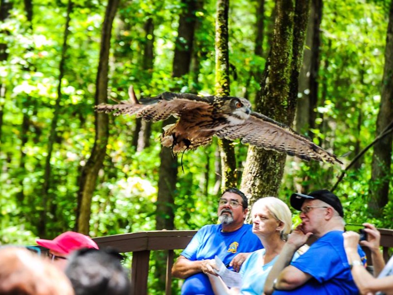 Carolina Raptor Center in Huntersville, NC