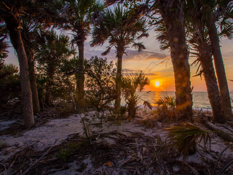 Cayo Costa State Park