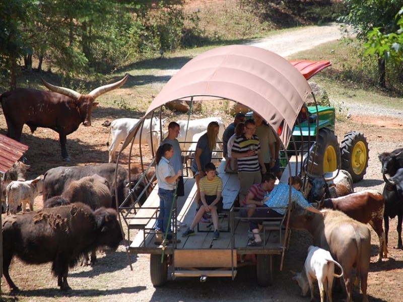 Zootastic Park of Lake Norman in Troutman, NC