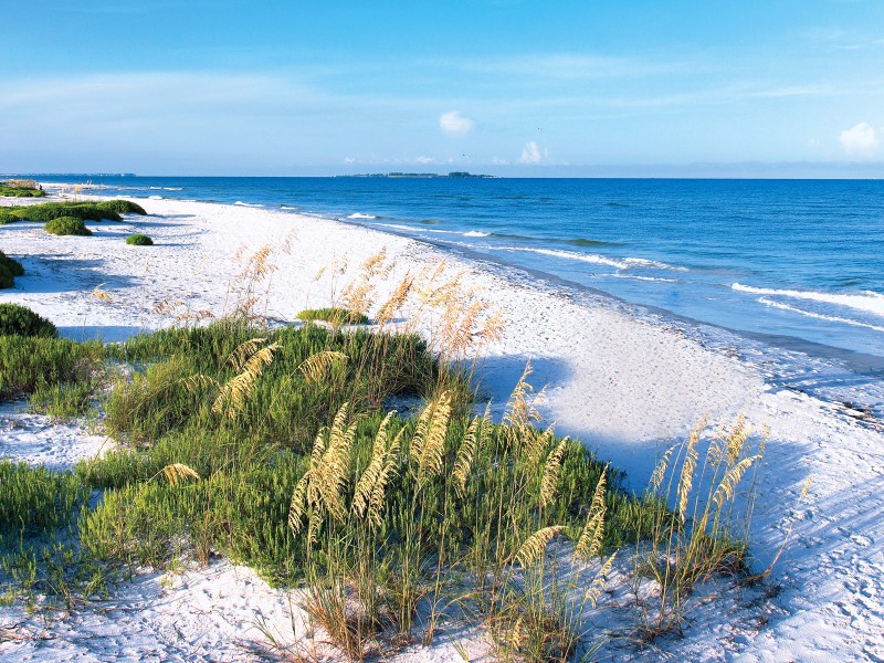 Fort De Soto shore