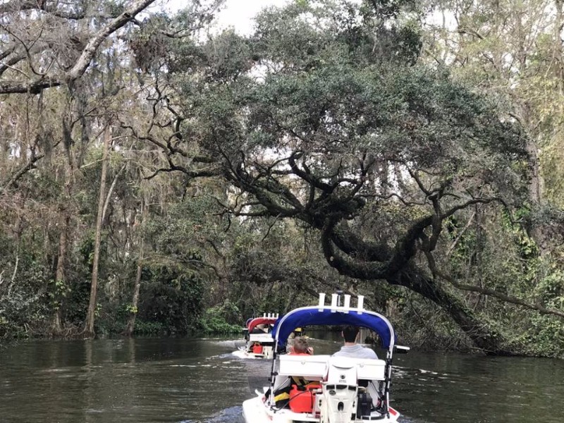 Cat Boat Tours of Mt. Dora