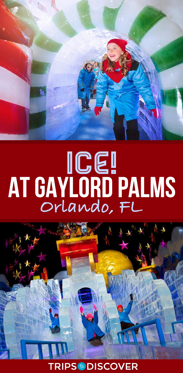 Visit ICE! at Gaylord Palms in Orlando, FL This Christmas 2024 Trips