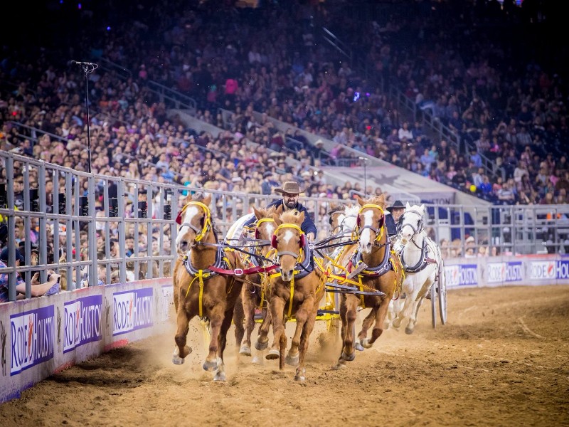 Houston Livestock Show and Rodeo