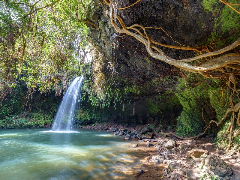 Twin Falls, off the Road to Hana, Maui