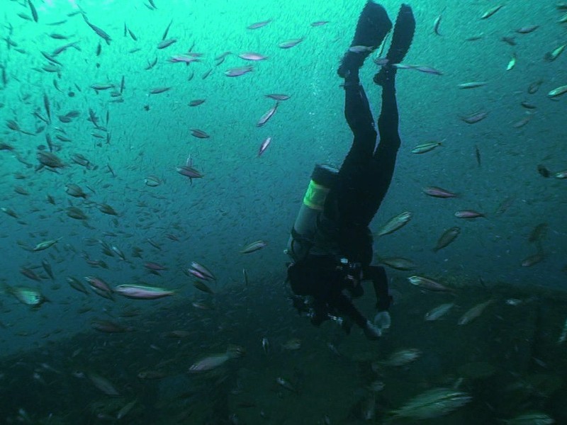 Florida Panhandle Shipwreck Trail