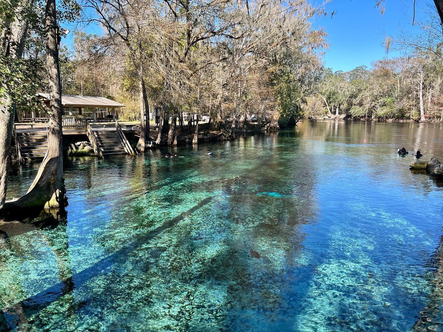 Ginnie Springs