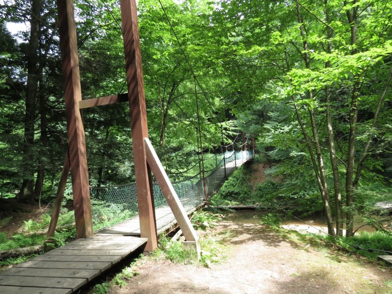 Bridge at Cook Forest State Park, near Clarion, Pennsylvania