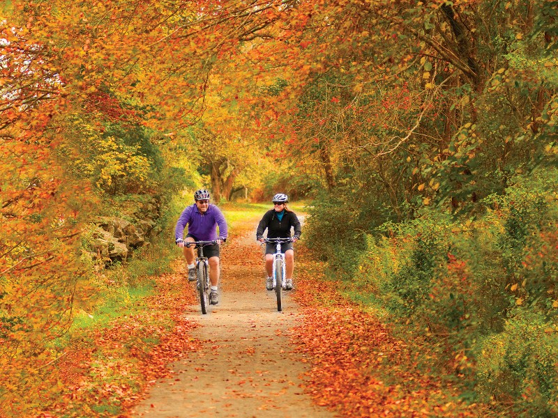 biking through Haley Farm State Park