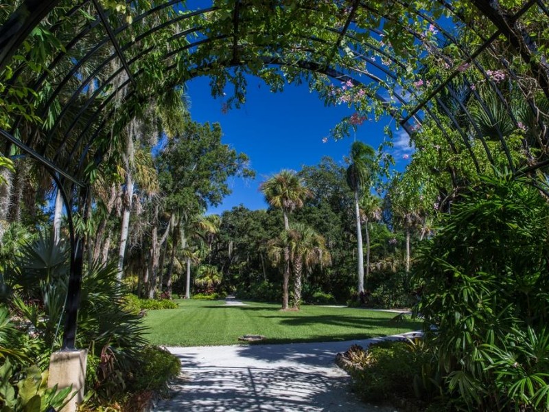 Lush foliage at McKee Botanical Garden