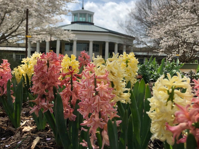 Daniel Stowe Botanical Gardens