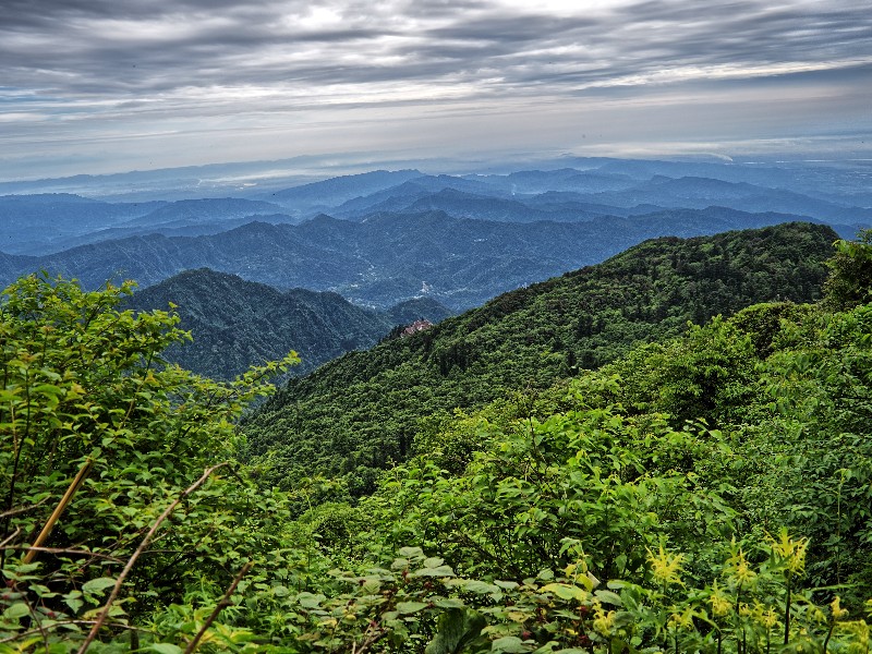 Scenic view of Emeishan National Park