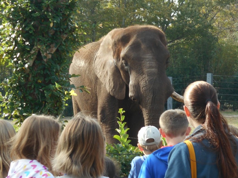 Jacksonville Zoo and Gardens