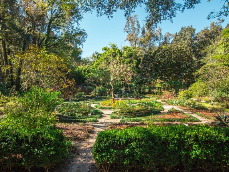 Kanapaha Botanical Gardens