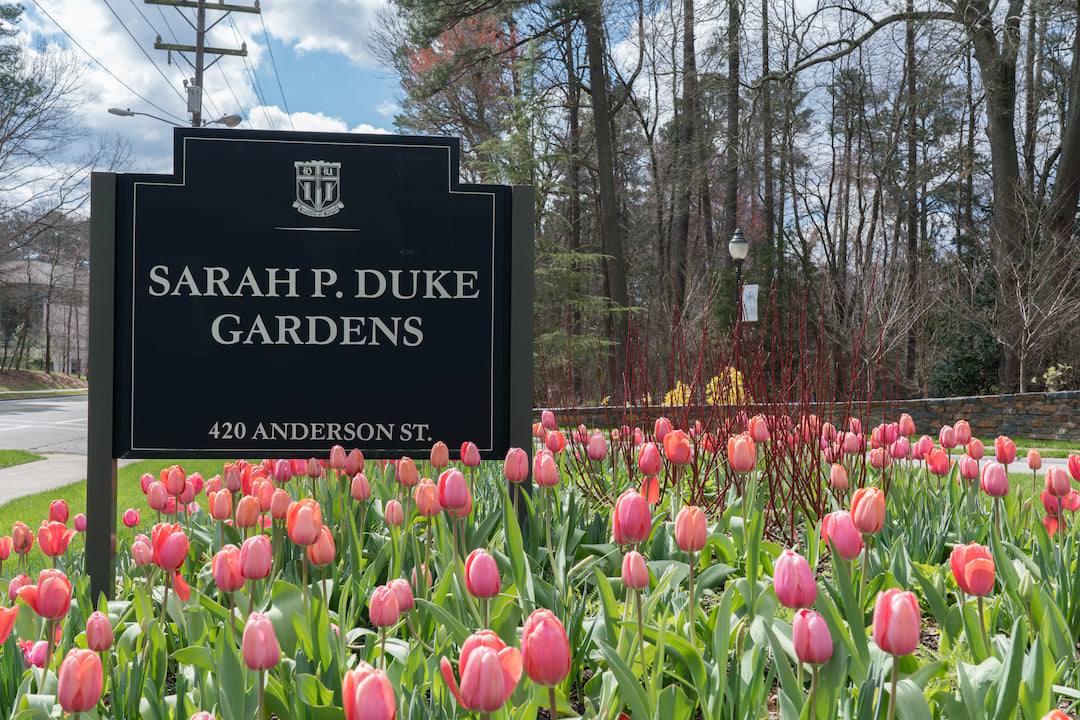 Sarah P. Duke Gardens