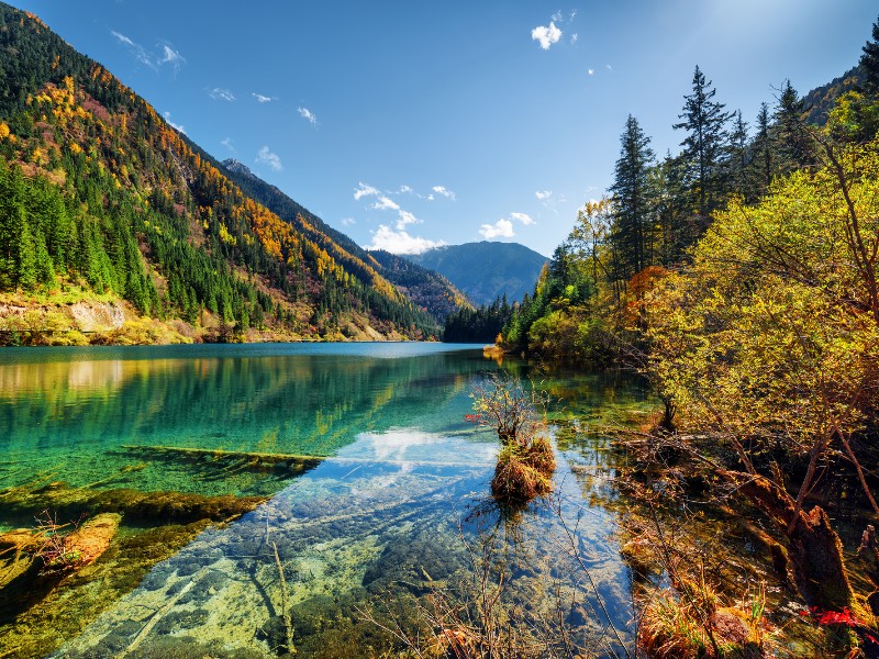 Arrow Bamboo Lake in Jiuzhai Valley National Park