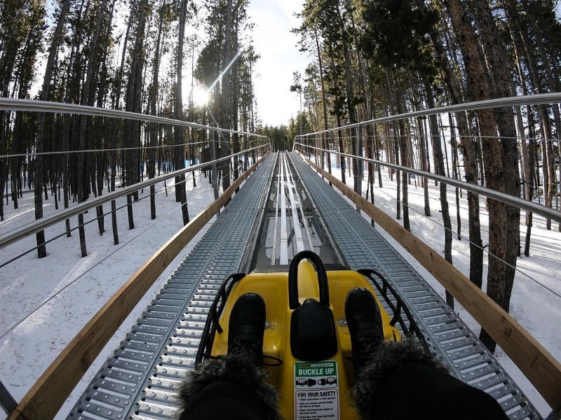 Gold Runner Alpine Coaster
