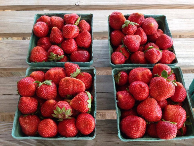 Henley Farms in Pungo offers both pick-your-own produce and already picked.