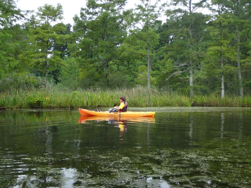 Tour the Back Bay Wildlife Refuge by kayak with Adventure Kayak Tours.