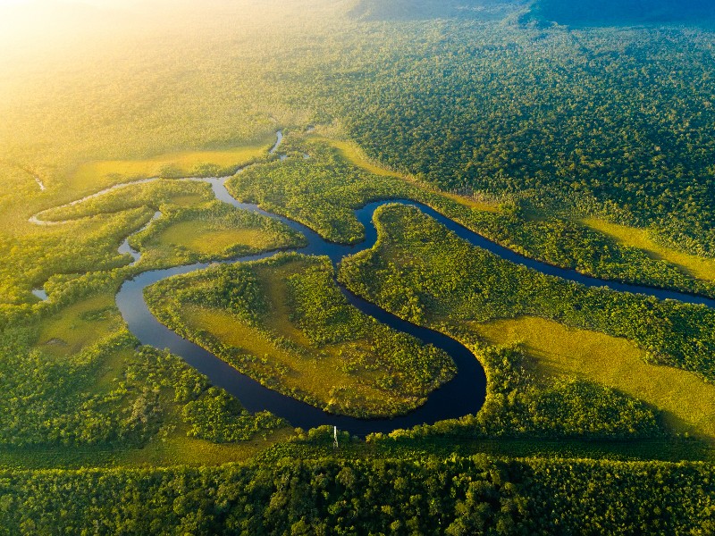 Aerial view of the Amazon Rainforest, Brazil