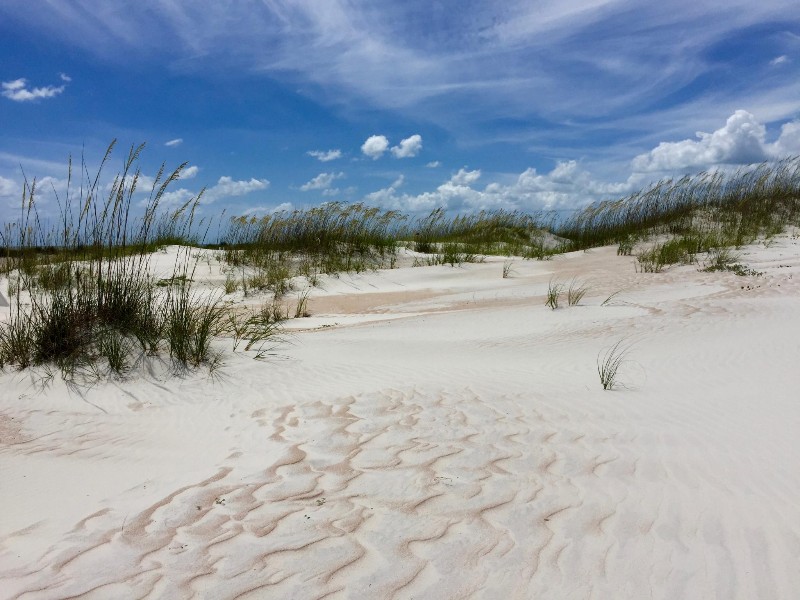 Anastasia State Park, Florida