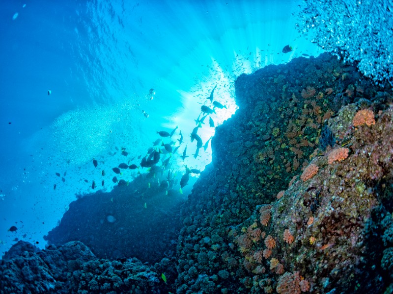 Cabo Pulmo National Park