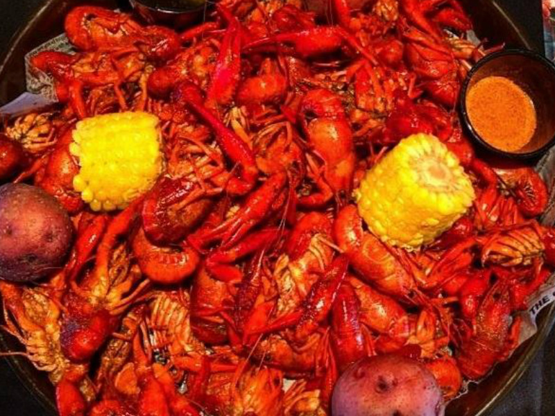 Top 7 Crawfish Festivals in Texas Trips To Discover