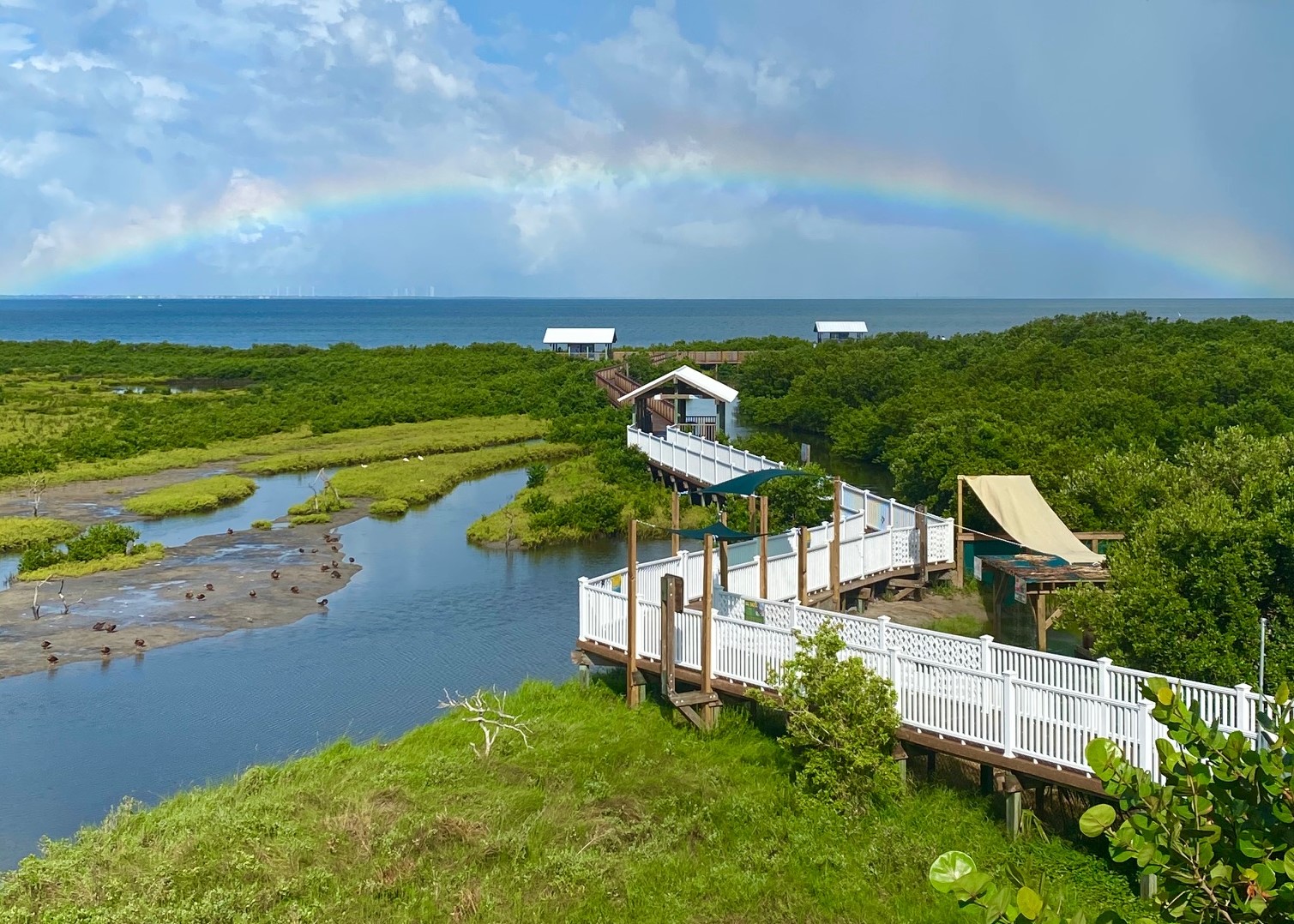 The South Padre Island Birding and Nature Center