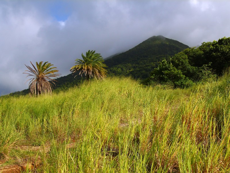 Mount Liamuiga, St. Kitts