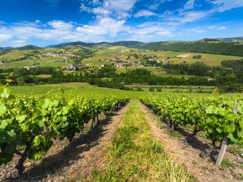 Rhone Valley, France