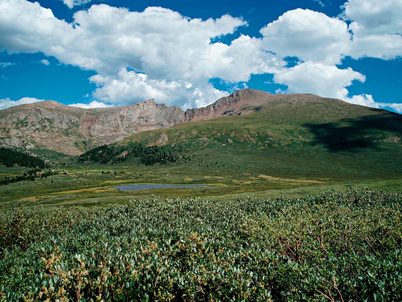 Guanella Pass Campground  