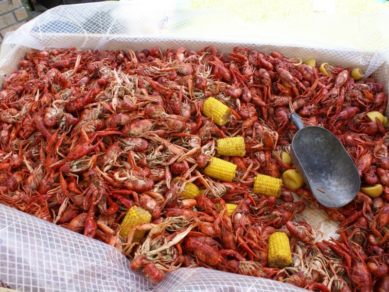 Top 7 Crawfish Festivals in Texas Trips To Discover