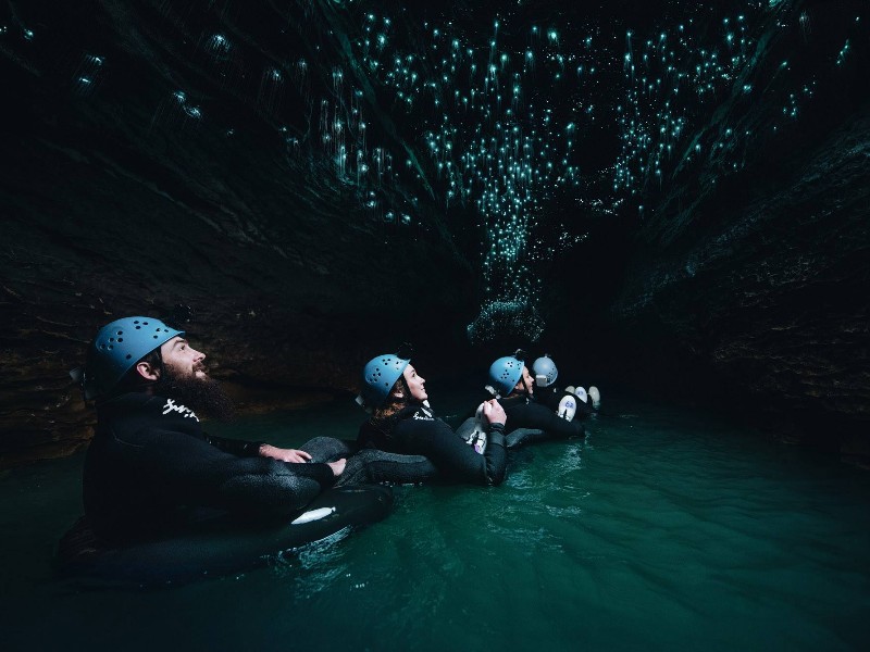 Waitomo Glowworms