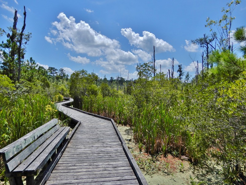 Goose Creek State Park