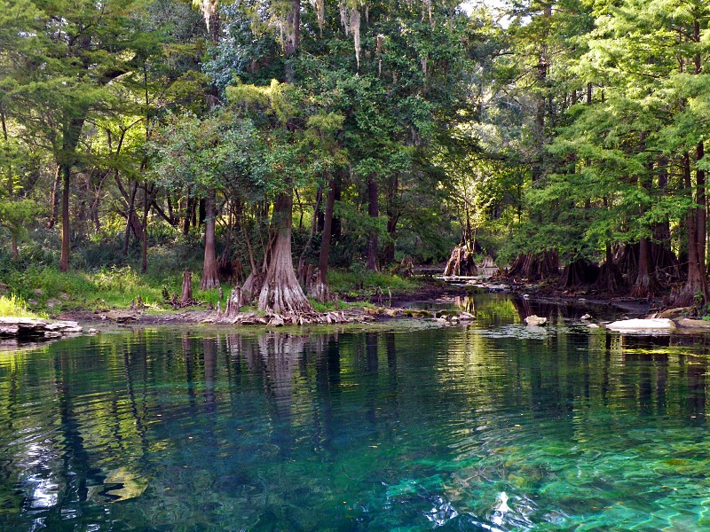 Peacock Springs State Park