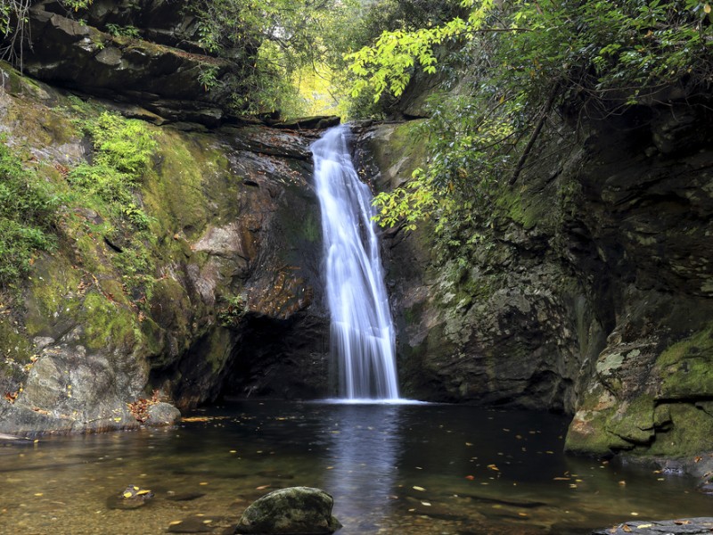 Pisgah National Forest