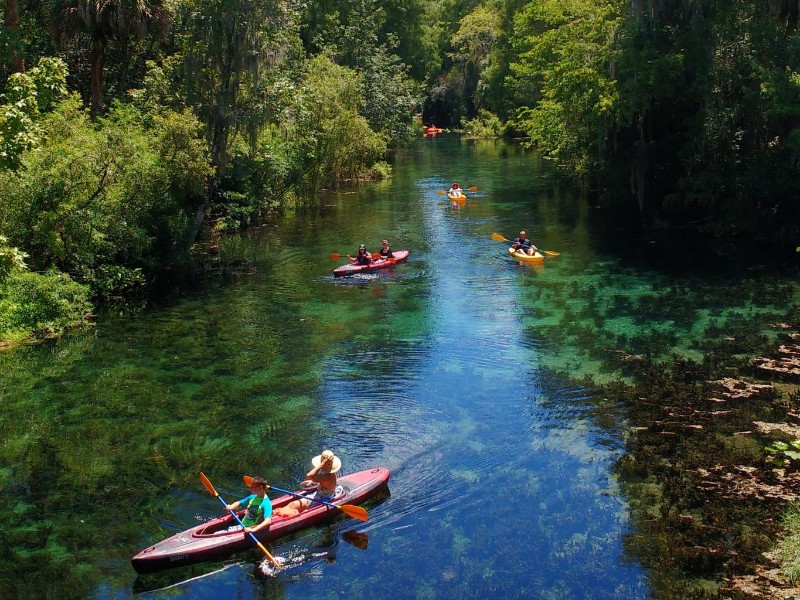 Silver Springs State Park, Silver Springs