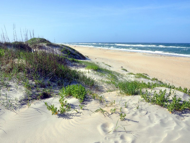 Sand Dune in Cape Hatteras National Seashore, on Hatteras Island, North Carolina