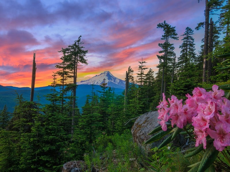 mt hood best hikes