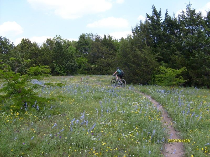 Oak Cliff Nature Preserve