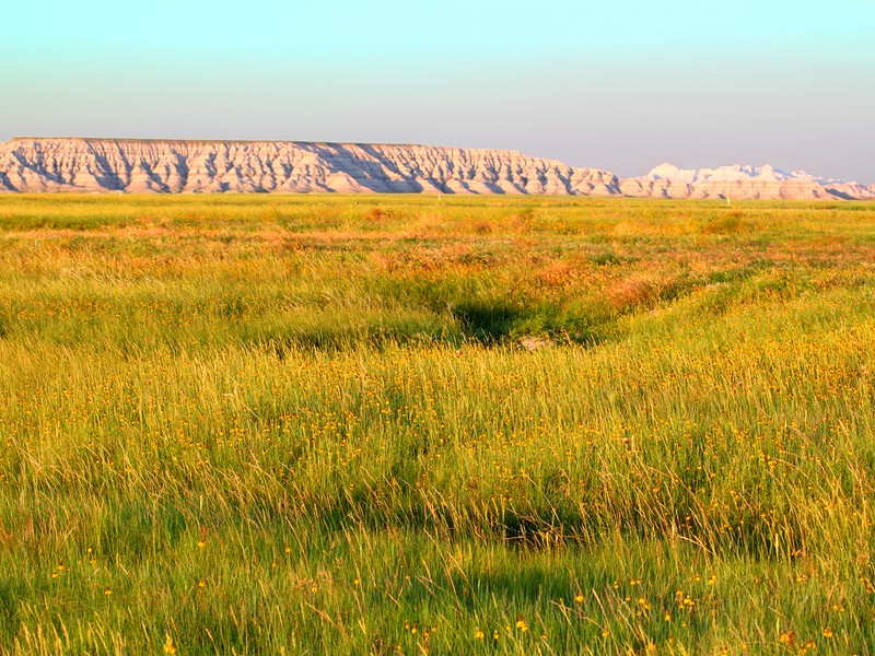 Vast prairie of Buffalo Gap National Grassland in South Dakota
