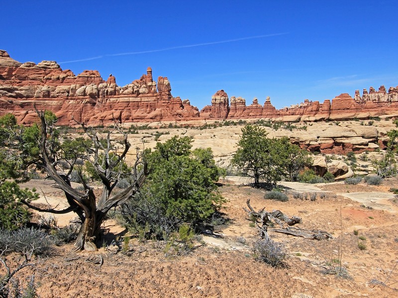 Needles District in Canyonlands National Park, Utah