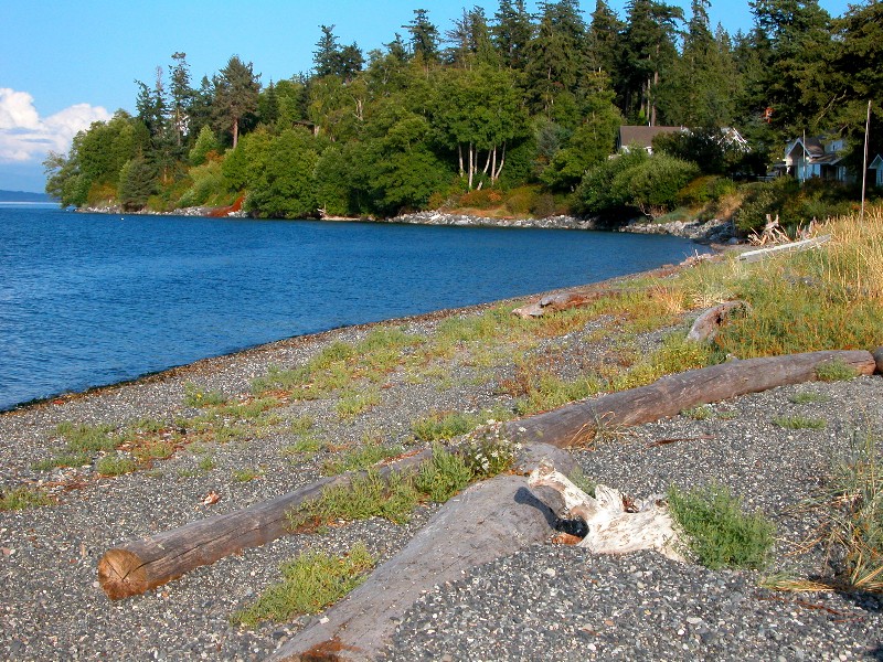 Saltwater shoreline Orcas Island