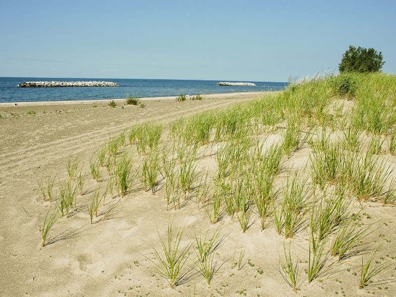 Beach at Presque Isle State Park