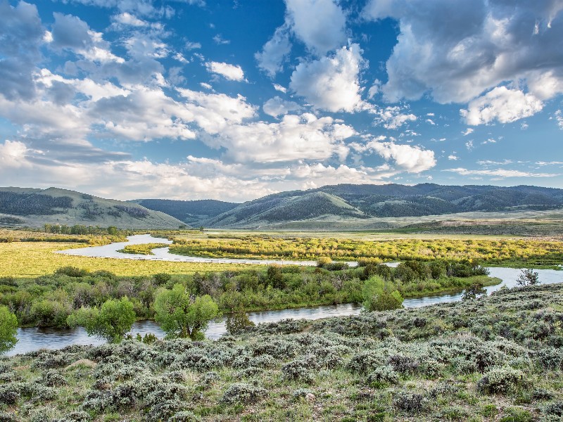 North Platte River above Northgate Canyon, North Park, Colorado 