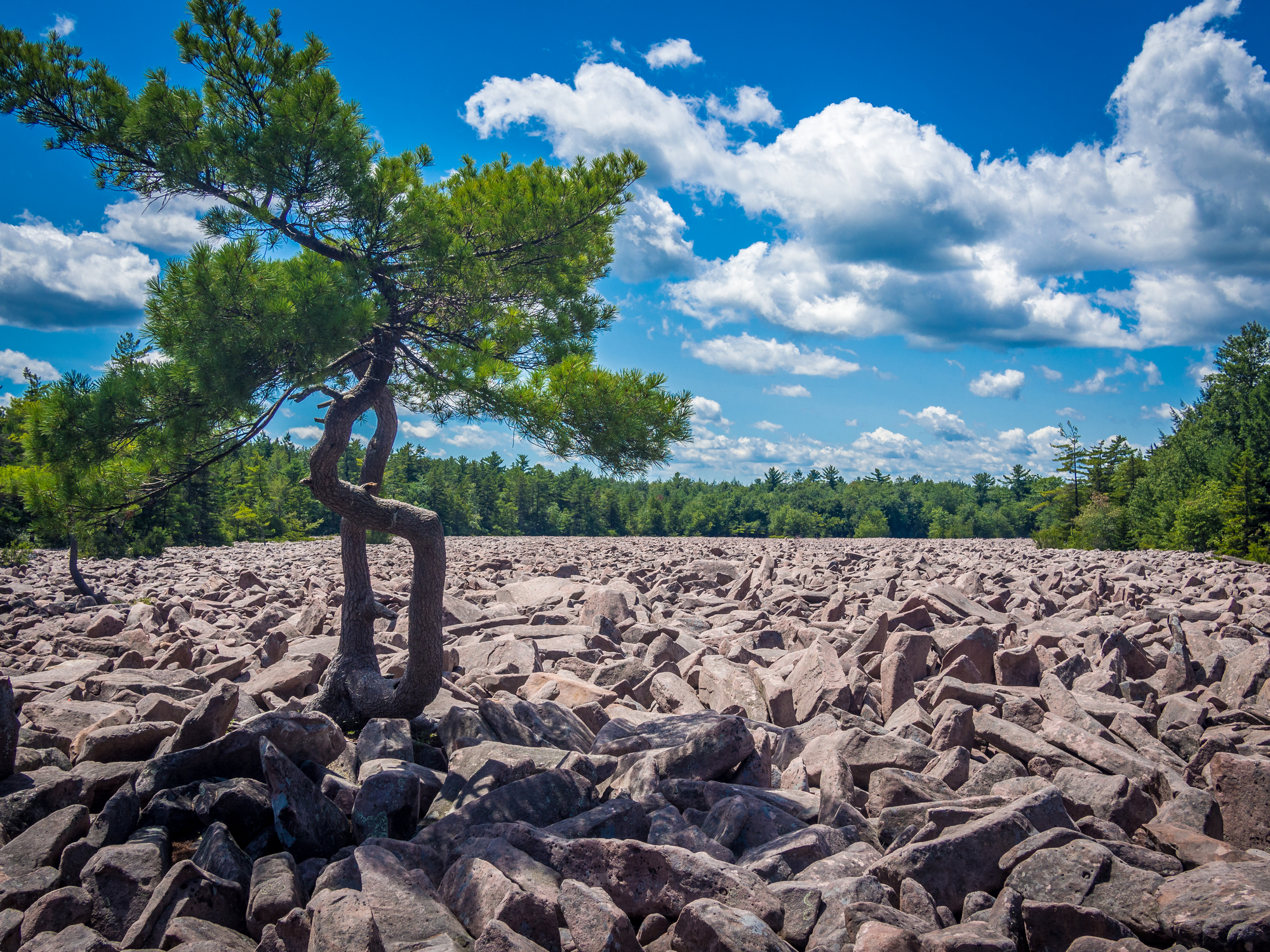 Boulder field in Hickory Run State Park, Pennsylvania